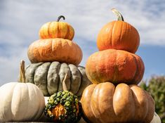 pumpkins and gourds stacked on top of each other with sky in the background