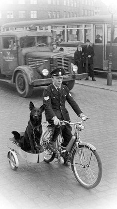 a black and white photo of a man riding a bike with a dog in the back