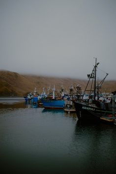 several boats are docked in the water on a foggy day with hills in the background