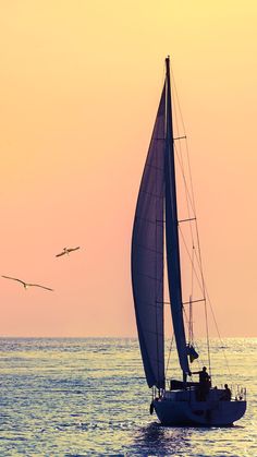 a sailboat in the ocean with two seagulls flying above it at sunset