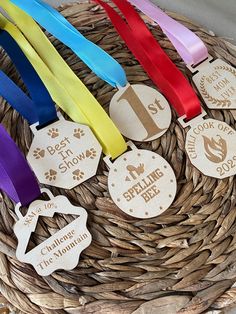 several different colored ribbons in a basket with some tags on them that say best dog show