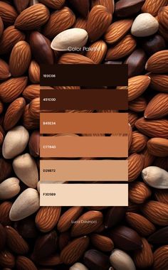 almonds and other nuts are shown in the color palette, which is highlighted on this image