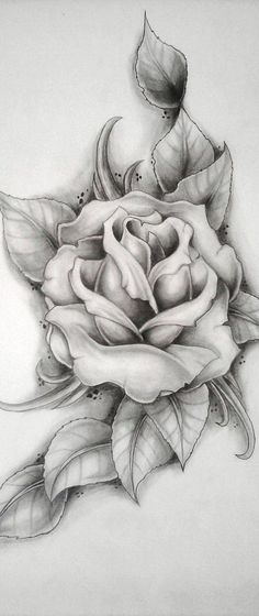 ⚓❤🍀🌏 Drawing Of A Rose, Anklet Tattoo, Anklet Tattoos, Rose Drawing, Roses Drawing, Hip Tattoo, Pencil Art Drawings, Foot Tattoos