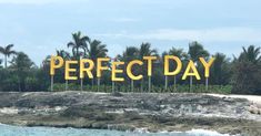 a sign that says perfect day in front of some water and palm trees on the beach