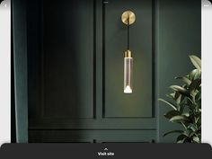 a light that is hanging from the side of a wall next to a potted plant