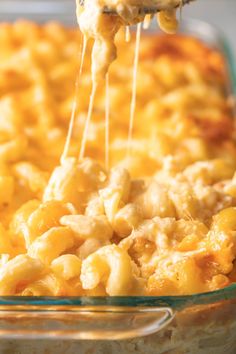 macaroni and cheese being lifted from a casserole dish