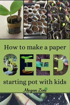 How to make a paper seed pot for starting seeds indoors with kids Seed Starting Indoors, Grade 2 Science, Starting Seeds Indoors, School Yard, Outdoor Learning