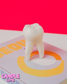 a white tooth model sitting on top of a pink and yellow book with the word candle lupe written below it