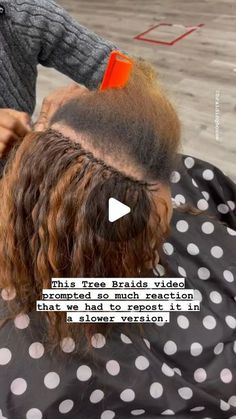 Styles For Thinning Hair Black Women, Treebraids Hairstyles, Tree Braids Hairstyles With Human Hair, Individual Tree Braids, Crochet Styles For Black Women, Angel Braids, Three Braids, Tree Braid