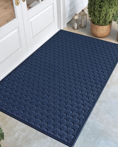 a blue door mat sitting on top of a floor next to a potted plant