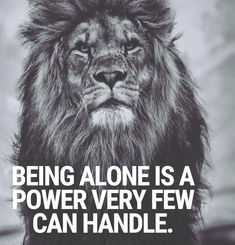 Leo Quotes, Leo Zodiac Facts, Leader Quotes, Stoic Quotes, Postive Life Quotes, Standing Alone