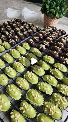 green cupcakes are lined up on a cooling rack next to a potted plant