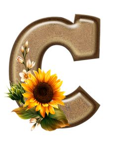 the letter c has a sunflower and leaves on it's lowercases