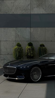 a black car parked in front of a building with two bushes on the side of it