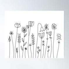 High-quality posters to hang in dorms, bedrooms or offices. Multiple sizes are available. Printed on 185gsm semi gloss poster paper. Additional sizes are available. Simple black and white line art drawings of flowers. "Cape Wildflowers" by Peach On A Windowsill Line Drawn Flowers Simple, Easy Flower Drawing Tutorial, Small Easy Drawings Aesthetic, Wild Flower Drawing Simple, Easy Line Art Drawing Simple, Simple Botanical Drawings, Simple Flower Drawing Easy, Simple Flowers Drawing, Draw Simple Flowers