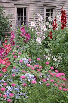 an old house with flowers in the foreground and bushes on the far side behind it