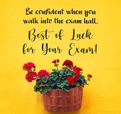 a potted plant with flowers on the side of a yellow wall that says be confident when you walk into the exam hall best of luck for your exam