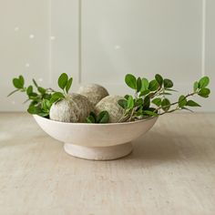 a white bowl filled with green plants on top of a wooden table next to a wall