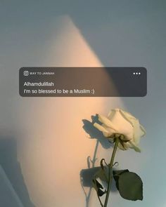 a white rose sitting on top of a wooden table next to a wall with the words, i'm so blessed to be a muslim