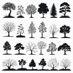 various trees and shrubs silhouettes set on white background stock photo - premium royaltying, code