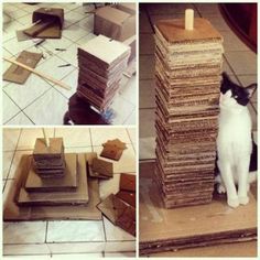 there is a cat that is sitting on the floor next to some boxes and cardboard