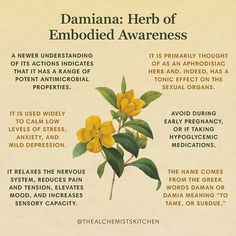 a poster with some flowers on it that says damain herb of emboid awareness