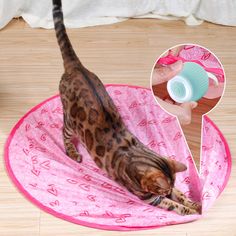 a cat playing with a pink mat on the floor