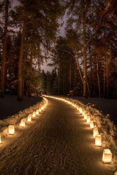 many lit candles are lined up on the side of a road in the woods at night