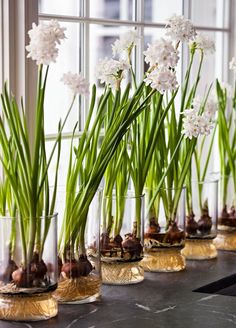 several clear vases filled with white flowers on a table