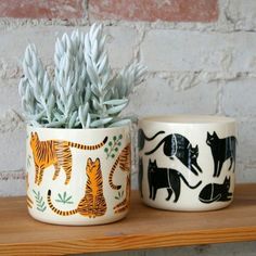 two ceramic pots with plants in them on a shelf