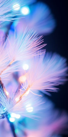 a close up view of a white flower with blurry lights in the back ground