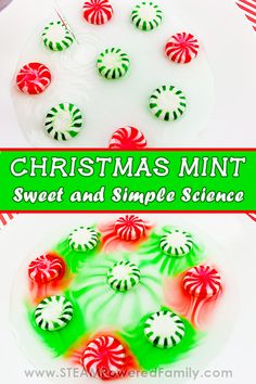 a white plate topped with green and red candy canes next to a christmas mint cake