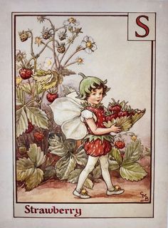 Vintage Letters, Strawberry Flower, Flower Moon, Fairy Artwork, Fairy Book