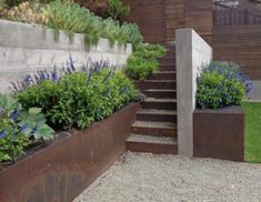 an outdoor garden area with various plants and steps leading up to the top of it