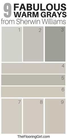 the gray color scheme for sheryln williams's paint swatches is shown