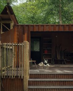 a dog laying on the ground in front of a wooden structure with steps leading up to it