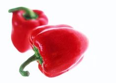 two red peppers on a white background