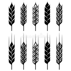 black and white silhouettes of different types of wheat stalks with leaves on the stems