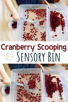 two plastic containers filled with cranberry scooping and spoons on top of a table