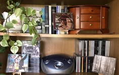 a bookshelf with various items on it and a plant in the corner next to it