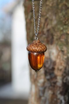 an acorn hanging from a chain on a tree