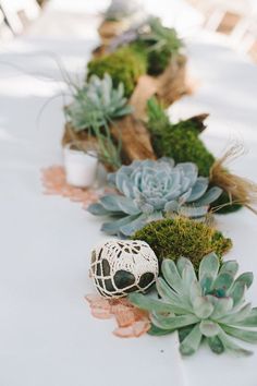 an arrangement of succulents and plants on a table