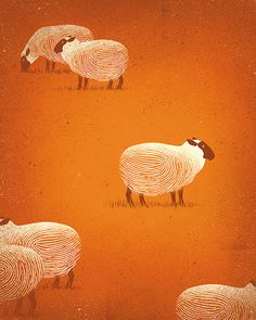 three sheep are standing in the grass on an orange background art print by design express