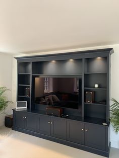 a large entertainment center with built - in bookshelves and plants on either side