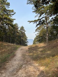 a dirt road in the woods with trees on both sides and mountains in the distance