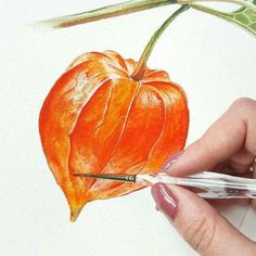 someone is drawing a flower with colored pencils