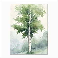 a watercolor painting of a tree in the woods