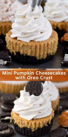 mini pumpkin cheesecakes with oreo crust are the perfect dessert to serve for halloween