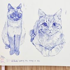 two drawings of cats sitting next to each other