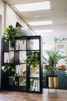 an office filled with plants and books on shelves